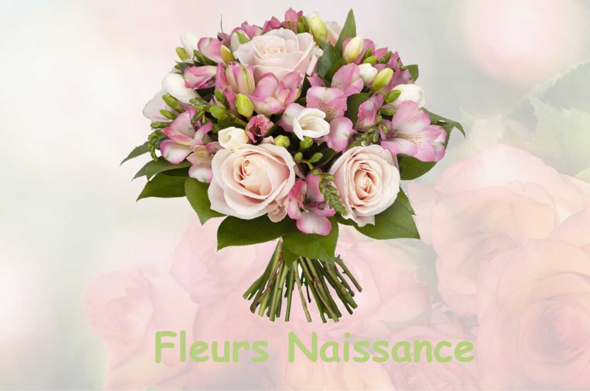 fleurs naissance SAINT-FELIX-DE-BOURDEILLES